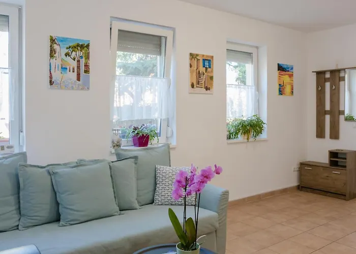 #hellocsopak Апартаменты